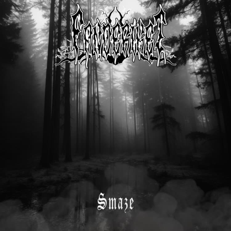 Smaze cover