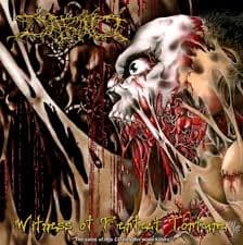 Witness of Perfect Torture cover