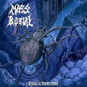 Soul's Necrosis cover