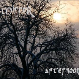 Afternoon cover