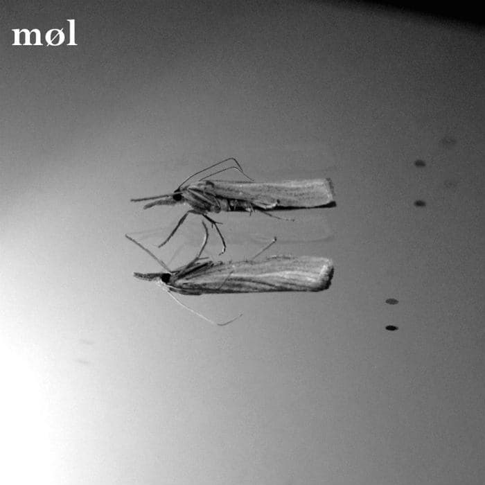 Møl cover
