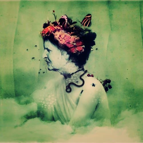 Empress Rising cover