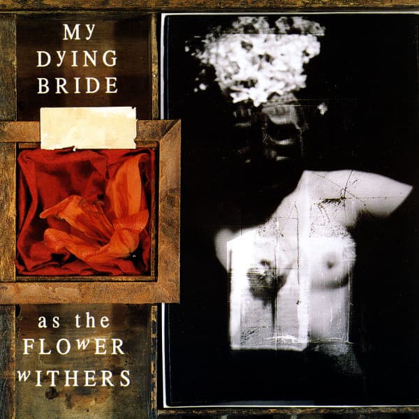 As the Flower Withers