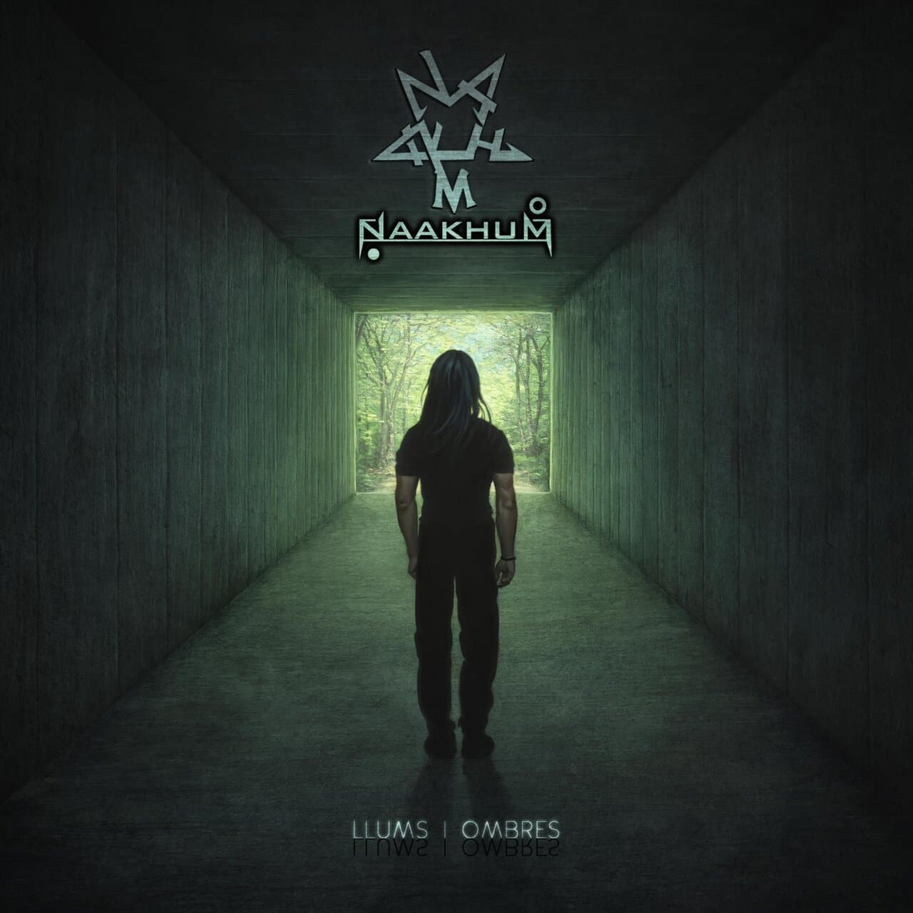 Llums i ombres cover