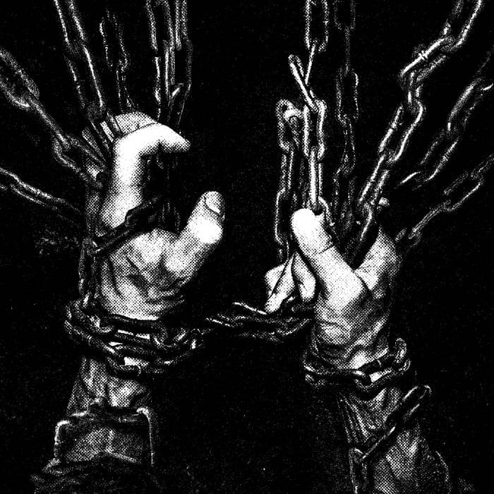 Within the Viscera cover