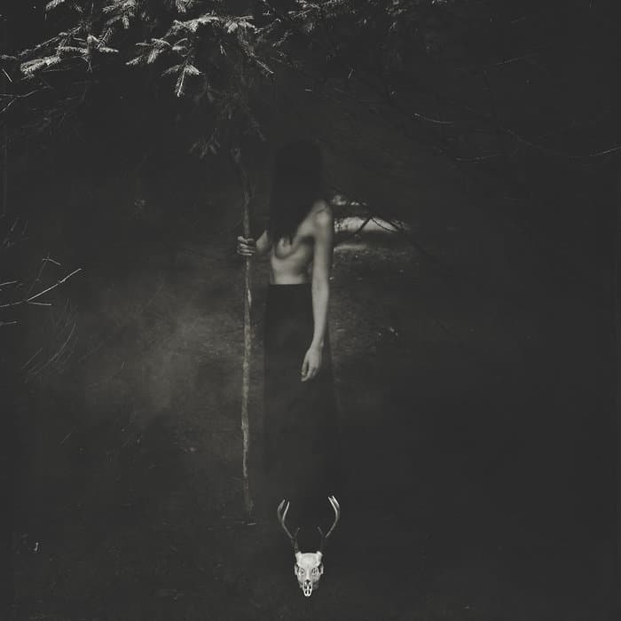 Embrace the Wretched Flesh cover