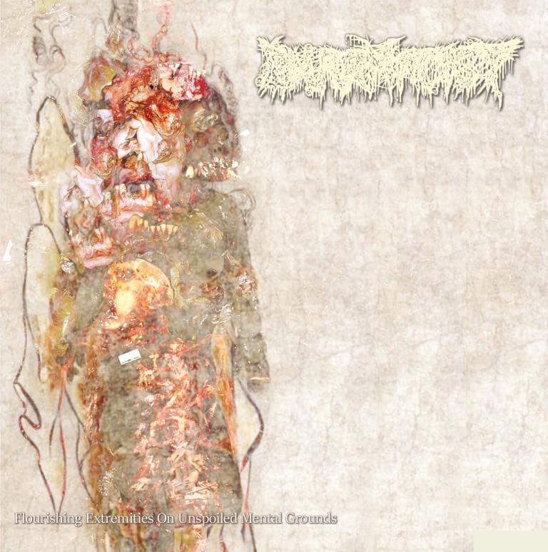 Flourishing Extremities on Unspoiled Mental Grounds cover