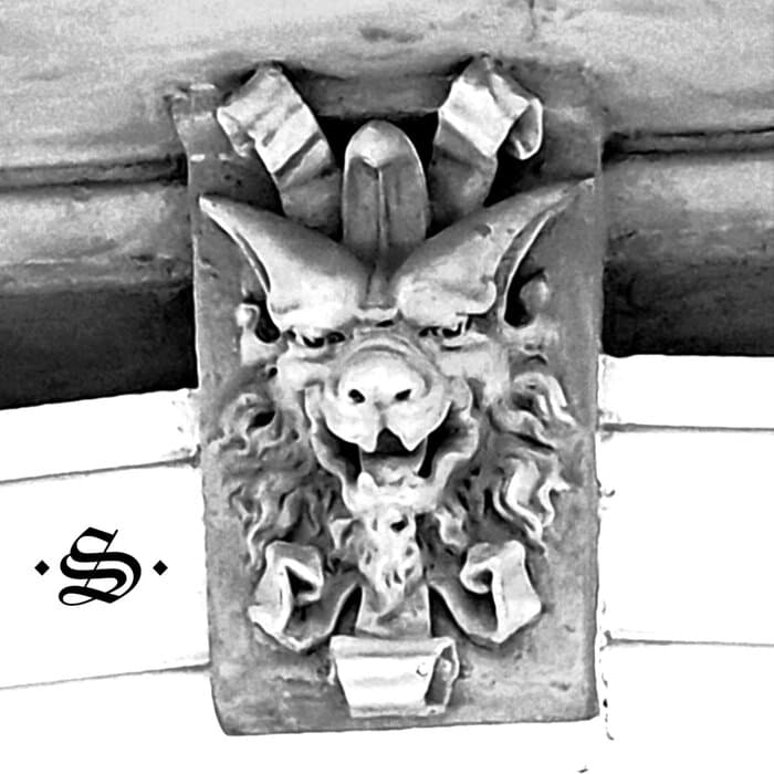Bassal de fel cover
