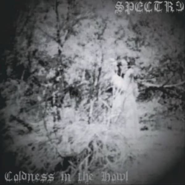 Coldness in the Howl / Spectre cover