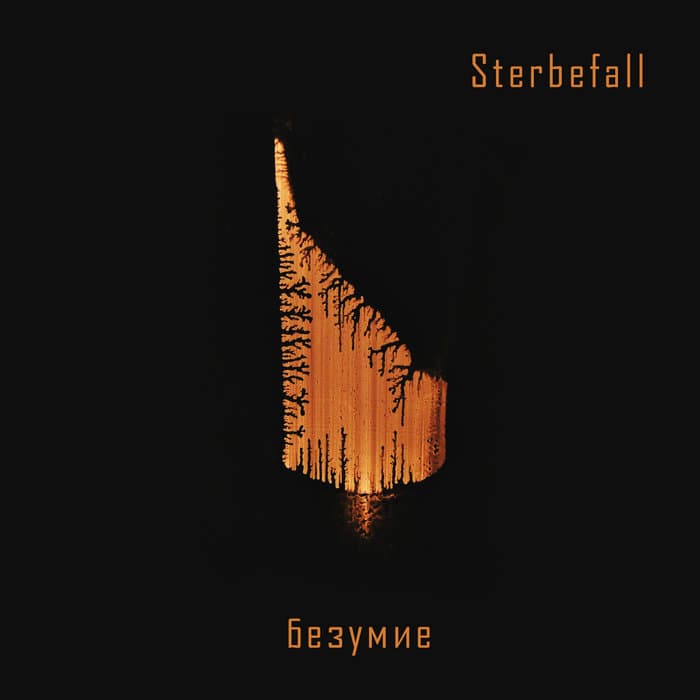 Безумие cover