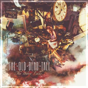 The Water Fields cover