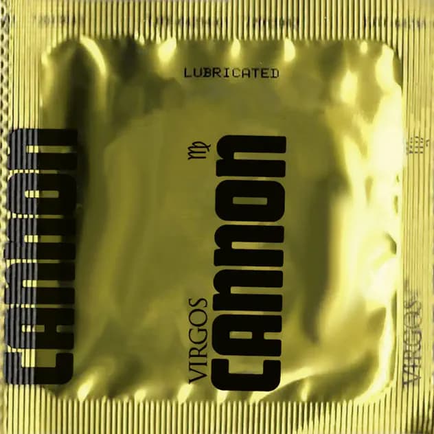 Cannon cover