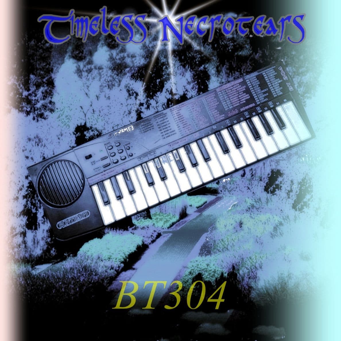 BT304 cover