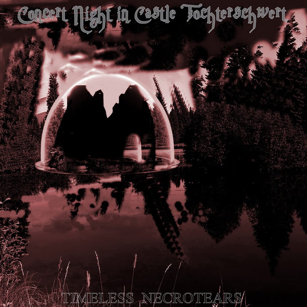 Concert Night in Castle Tochterschwert cover