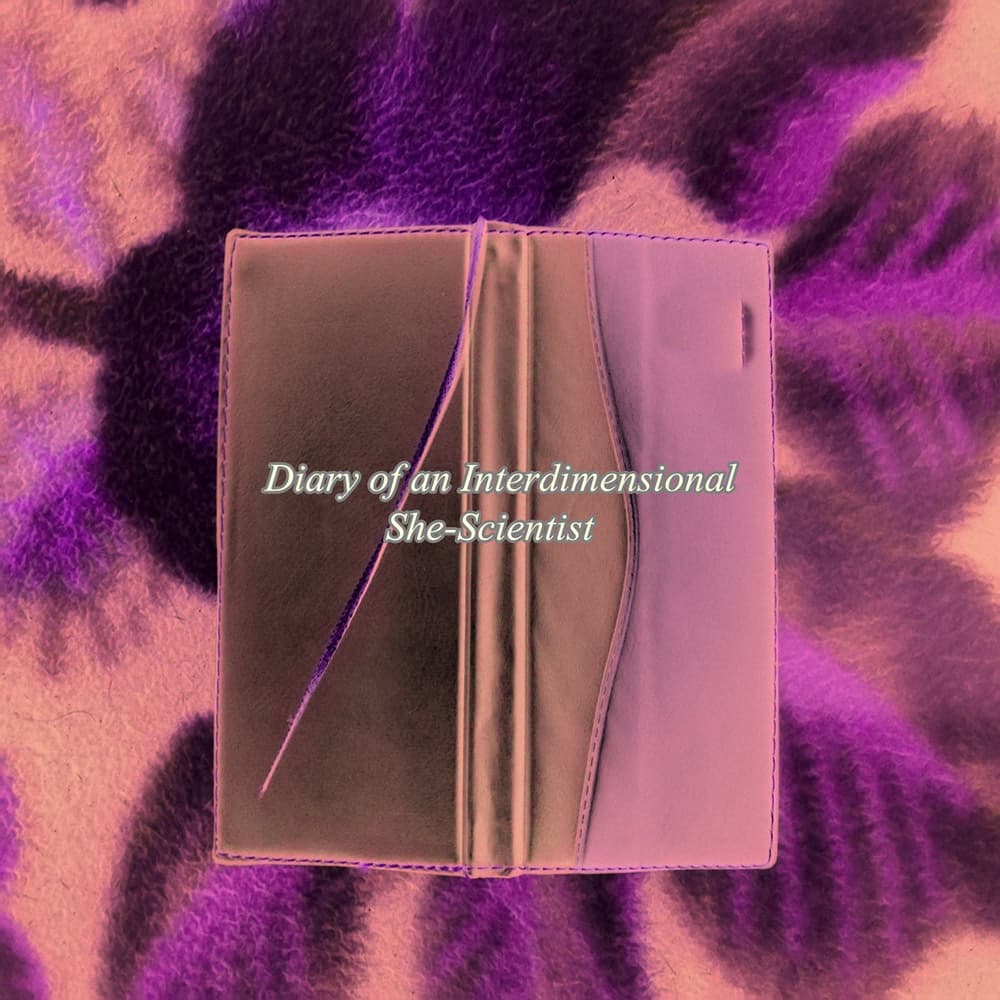 Diary of an Interdimensional She-Scientist cover