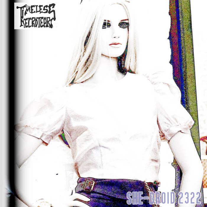 She-Droid 2322 cover