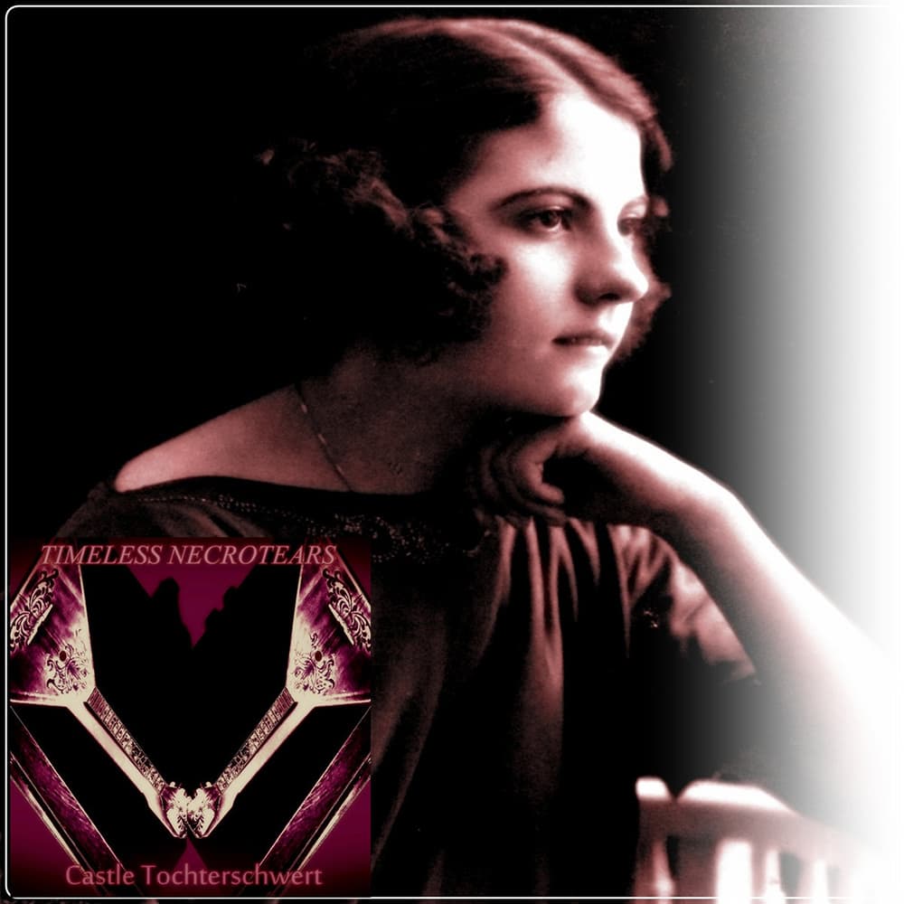 The Last Historical Archive 2 cover