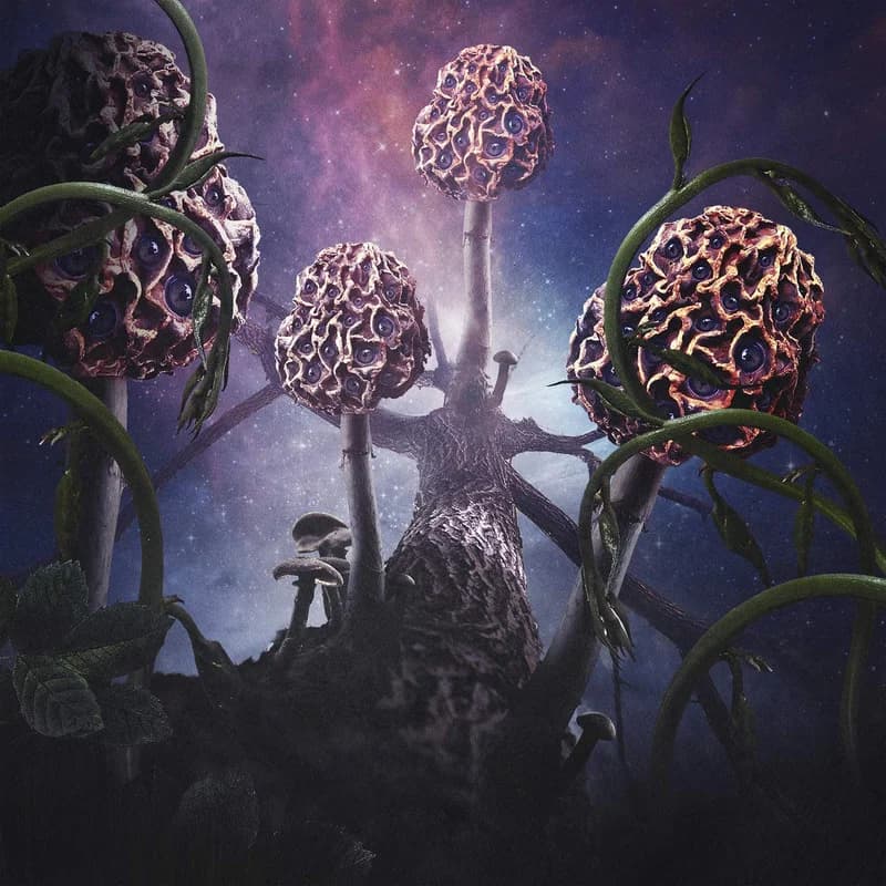 Hallucinogen cover