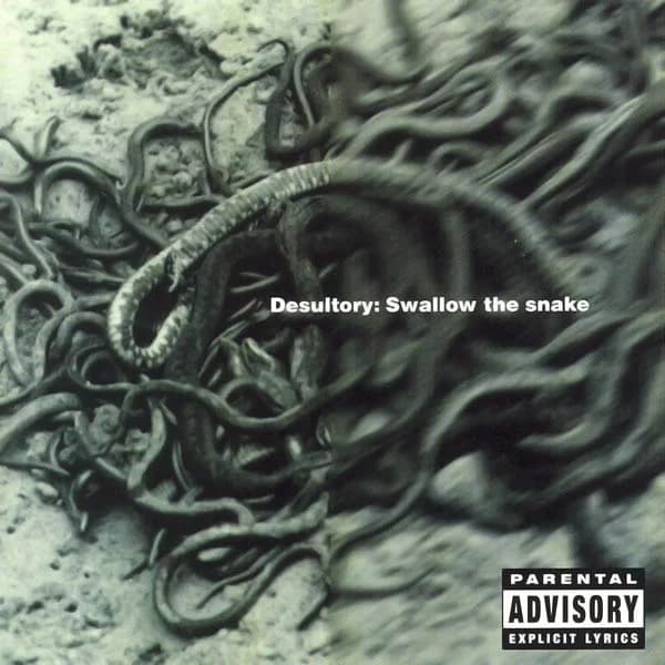 Swallow the Snake cover
