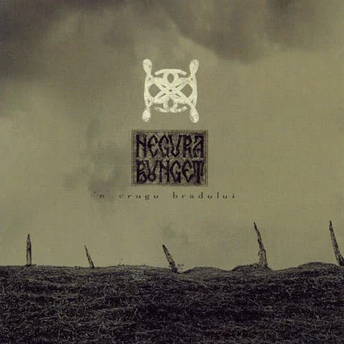 n crugu bradului cover