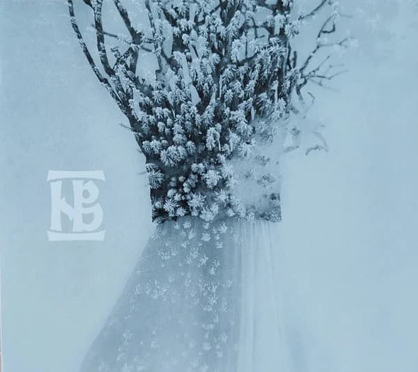 Zău cover