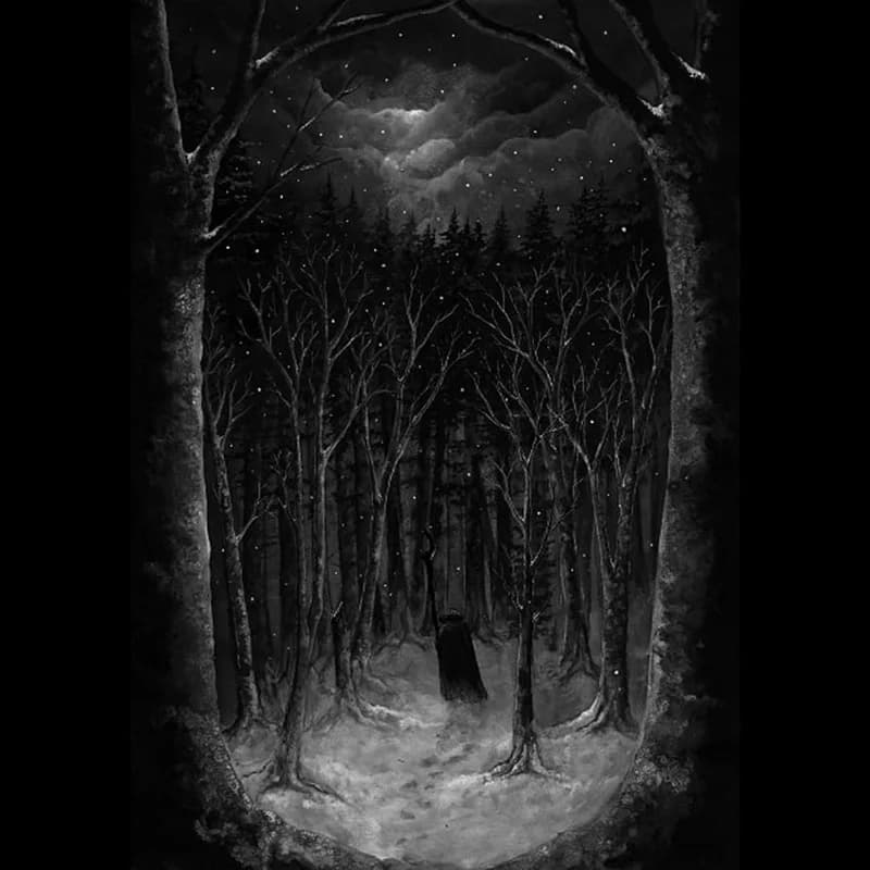 Im Wald