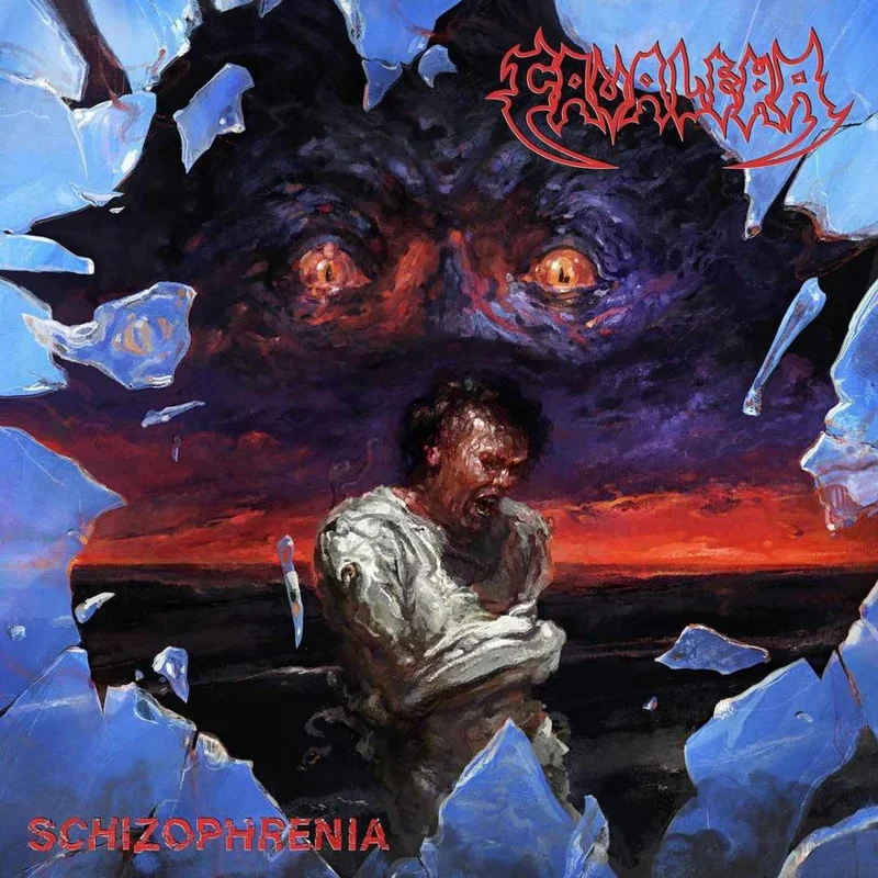 Schizophrenia cover