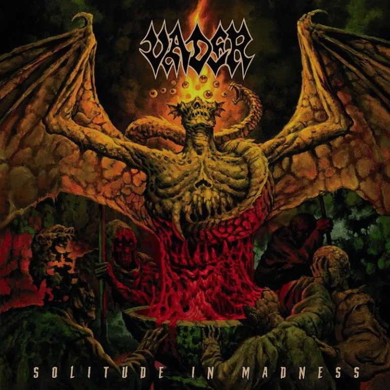 Solitude In Madness cover